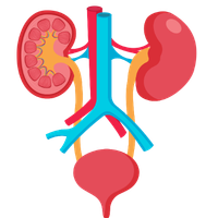 Renal Artery Stenosis